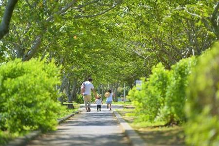 公園を散歩していると… (Shoji/stock.adobe.com)