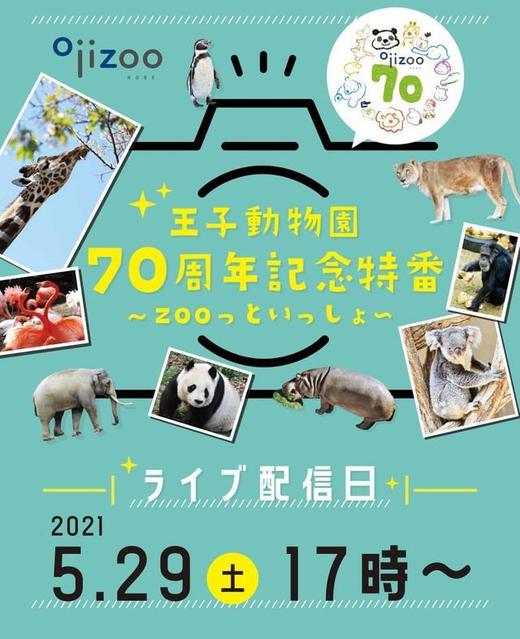 王子動物園70周年特番！29日17時からライブ配信　パンダのタンタン未公開最新映像も