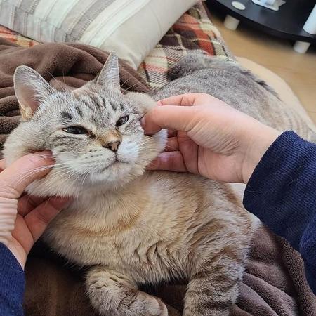 むにゅーっとほっぺのエクササイズ