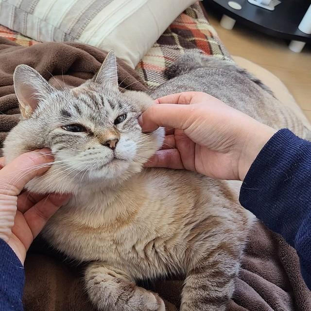 むにゅーっとほっぺのエクササイズ