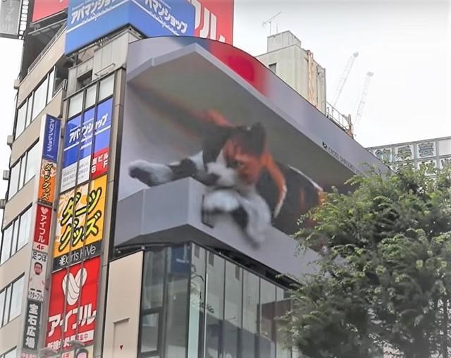 巨大三毛猫が寝落ちする瞬間/株式会社ユニカ提供・YouTube動画よりキャプチャ撮影