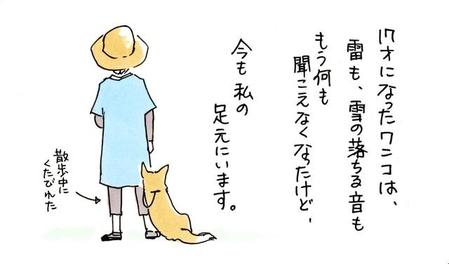 ワンコ17歳（wanko15sai）さんのツイートより