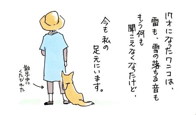 ワンコ17歳（wanko15sai）さんのツイートより