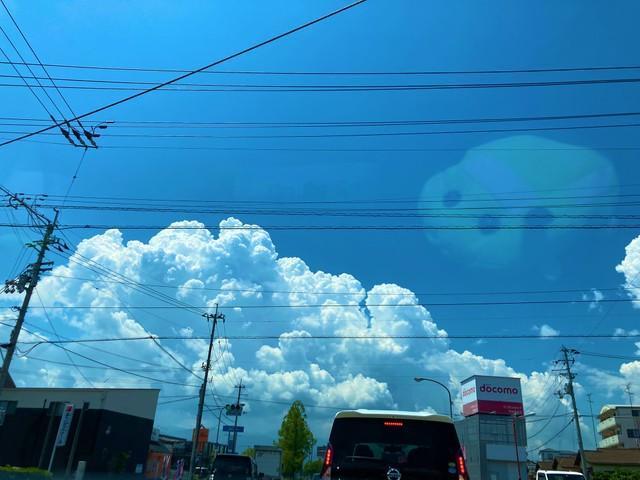 モ、モルカー！※ナントカノ介さん提供