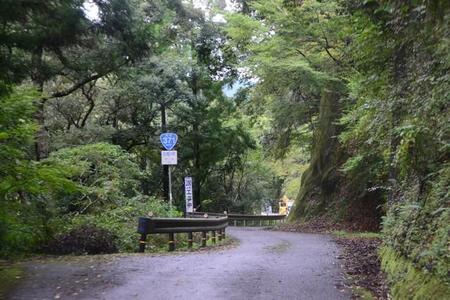 未開通区間に向かう国道371号。一人で来るのがこわいような秘境の道。