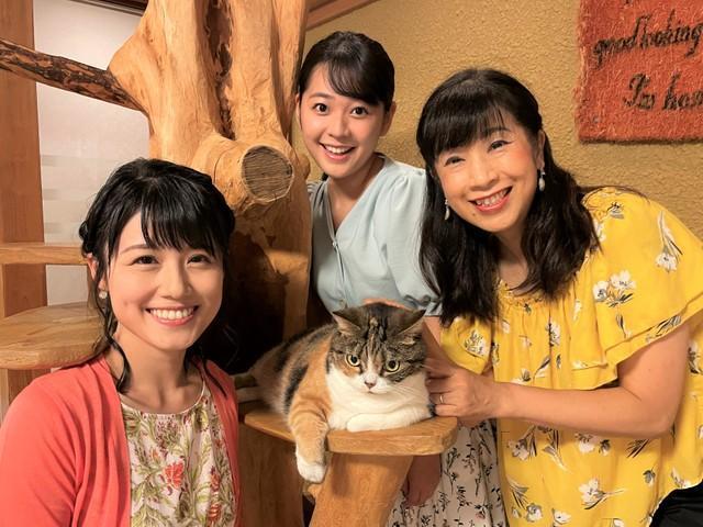 猫好きさんのための祭典「にゃんだらけ」ついに関西初上陸！猫に関するあらゆるグッズが大集合