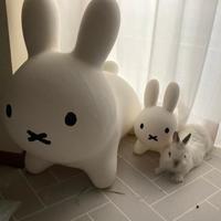 菅原文太ばりにカッコいい外猫 おなかの大きい友達を連れ 家に入れて 実は超家好きの猫だった ライフ 社会総合 デイリースポーツ Online