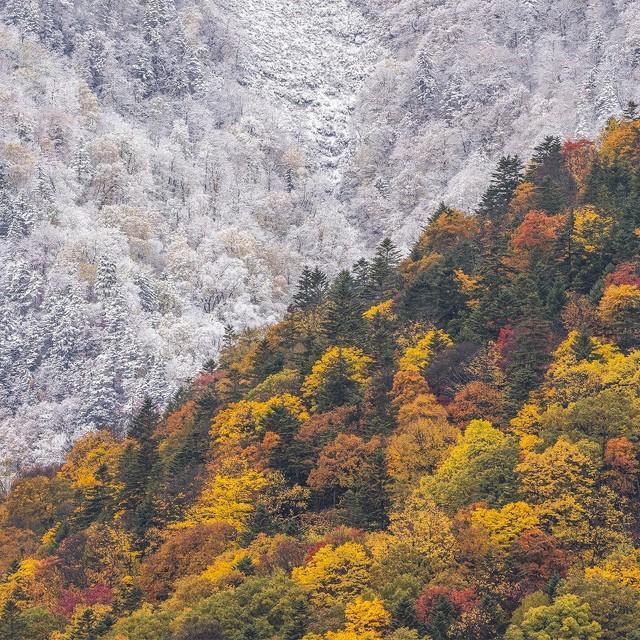 秋と冬の境界線をくっきりと捉えた写真作品／画像提供：安彦 嘉浩(@yoshihiro_abiko)さん