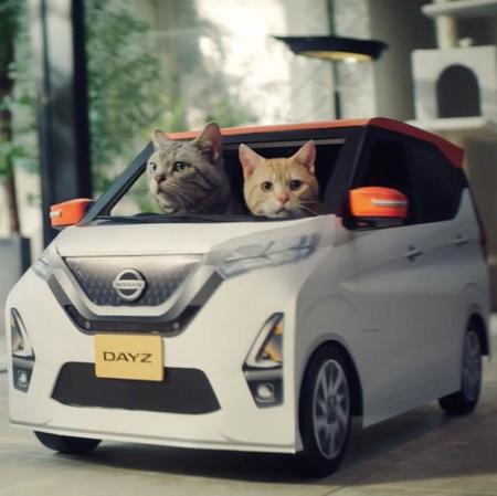第2弾ということで…2匹の猫ちゃんがドライブに出発です！（提供画像／一部トリミングしています）