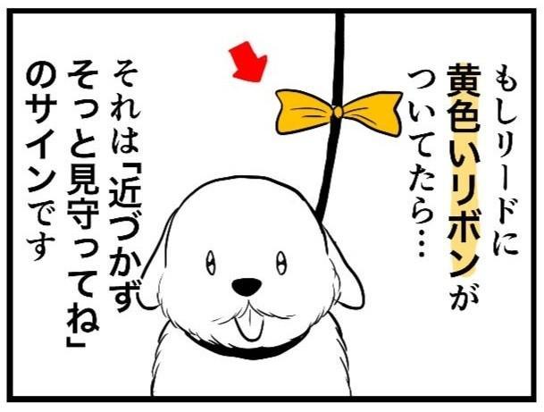 【漫画】イエローリボンの犬「目に見えない病気やトラウマがある」そっと見守って　黄色いリボンが目印