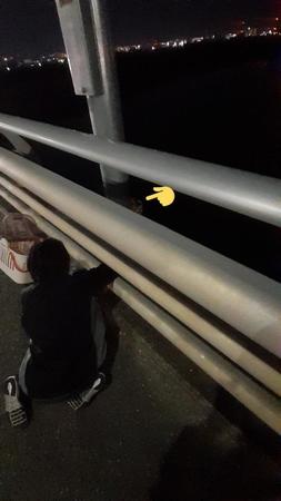 橋の欄干のコンクリート部分に捕まっていた子猫を保護しました（chamiさん提供）