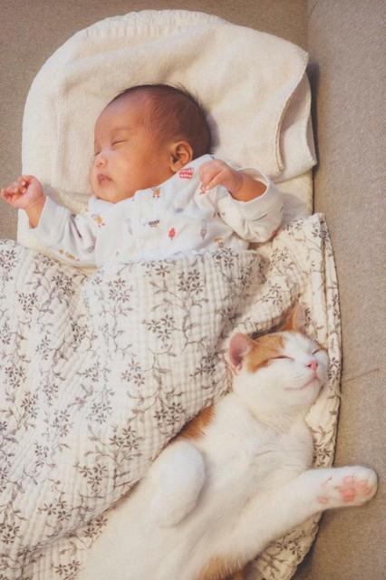 赤ちゃんと猫、左右対称ポーズで寝る姿が話題　「ダブルで癒される」「風神雷神みたい」