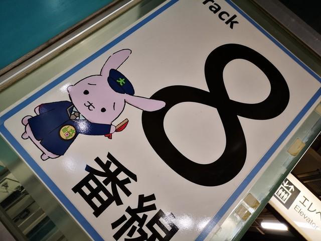 駅のあちこちで頑張ってます！（ユキカゼさん提供）