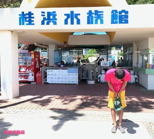 え！あの桂浜水族館にお客さんが！？（桂浜水族館提供）