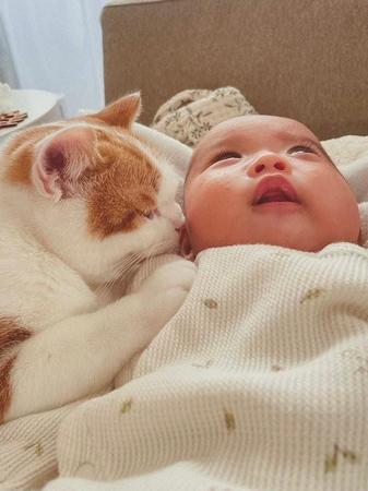 子猫が赤ちゃんに寄り添い話し掛けているように見えるとTwitter上で話題に（提供写真）