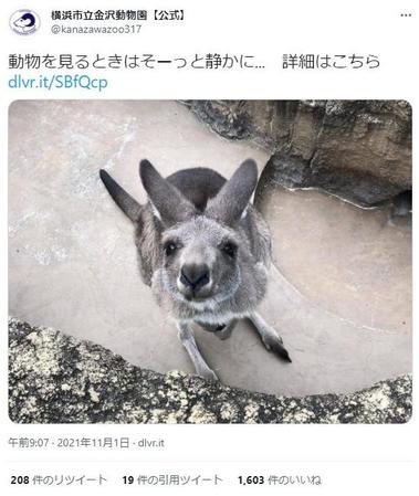 「動物を見るときはそーっと静かに」と伝えた金沢動物園の公式ツイート