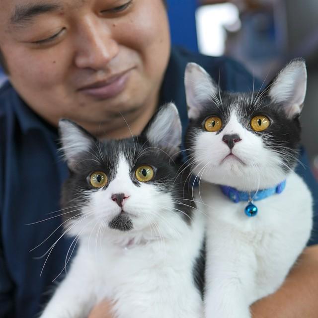 トム（左）、ジェリー（右）と下簗さん