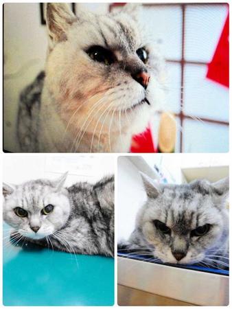 タマリンちゃんが築いた絆は今も…