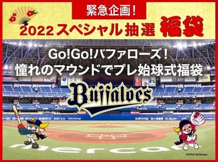 憧れのマウンドでプレ始球式ができる福袋（提供）