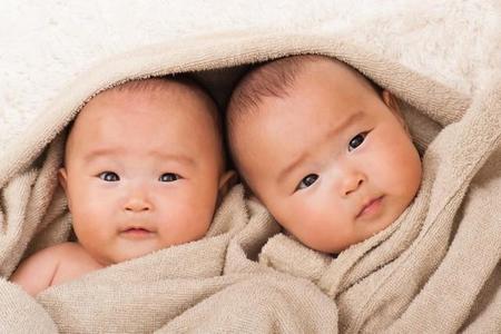 双子の出産準備にはどれくらの費用がかかるのでしょうか（beeboys/stock.adobe.com）