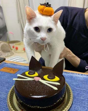 お誕生日、可愛いケーキでお祝い