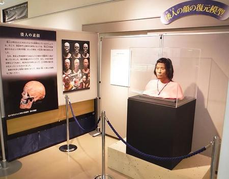 各地で巡回展示されている「青谷弥生人の復顔像」