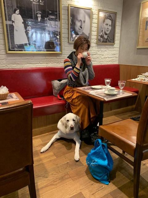 盲導犬との食事→お店「犬の待機場所がないんです」　浸透していない補助犬法、全盲の女性「知ってほしい」