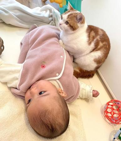 赤ちゃんの寝返りをサポートしているような猫の姿がTwitter上で話題になった（提供写真）