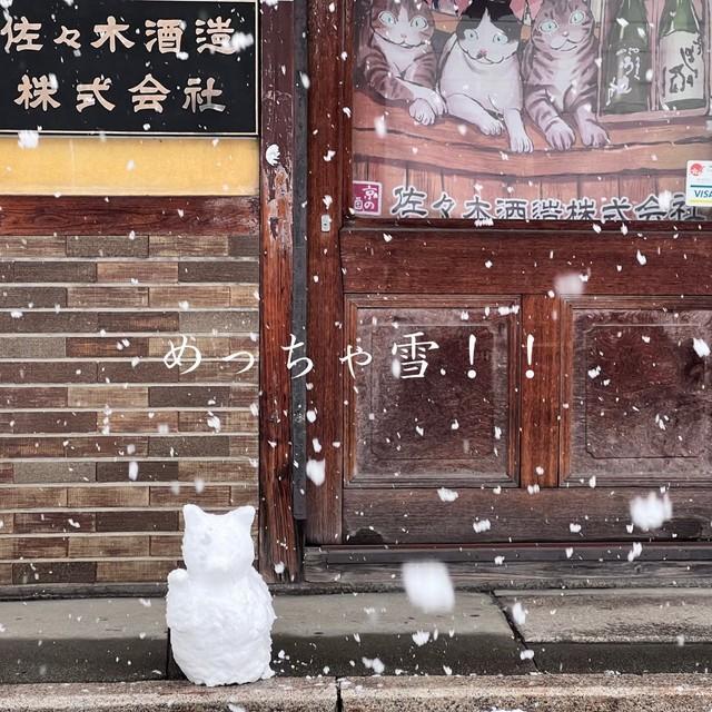 佐々木酒造の玄関前で通行人の目を楽しませたネコの雪だるま（佐々木酒造提供）
