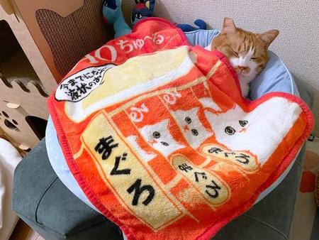 至福のひととき…（コンドリア水戸さん提供）