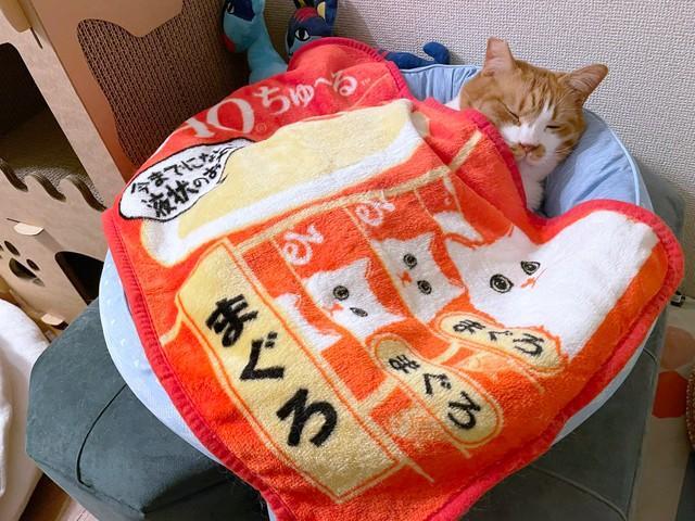 至福のひととき…（コンドリア水戸さん提供）