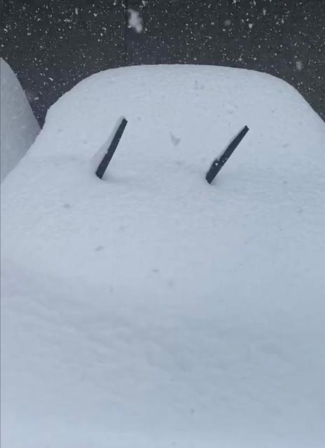 私の車、どれだっけ…？「雪降りすぎ」の札幌で駐車場の車が雪に埋没　「札幌市民もビックリ」