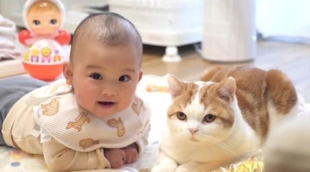 猫に「うつ伏せ姿勢を教えてもらう」赤ちゃん　手の置き方に悩んでいたら、お手本を見せにきた猫「双子のように香箱座り」