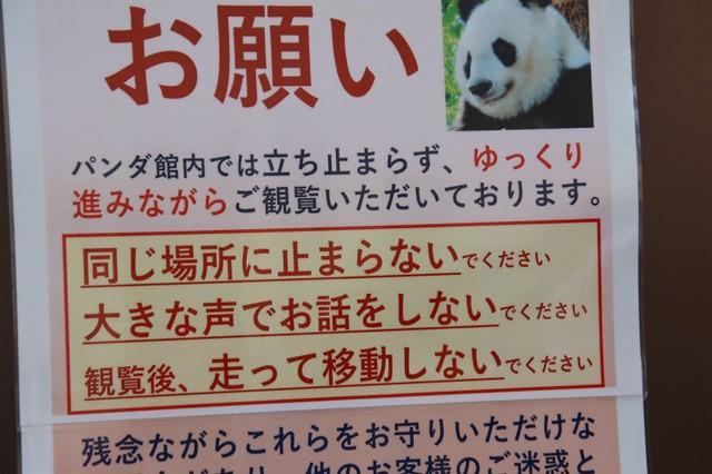 闘病中のパンダのための「立ち止まらずに見て」→ルール無視が横行!?「このままなら撮影禁止」“最後通告”した動物園の嘆き