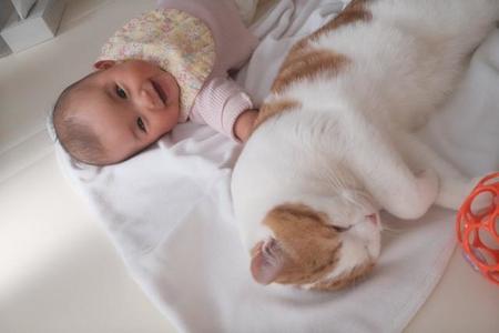 起きて遊ぼうよ＝こなつさん（@konatsudayo529）提供