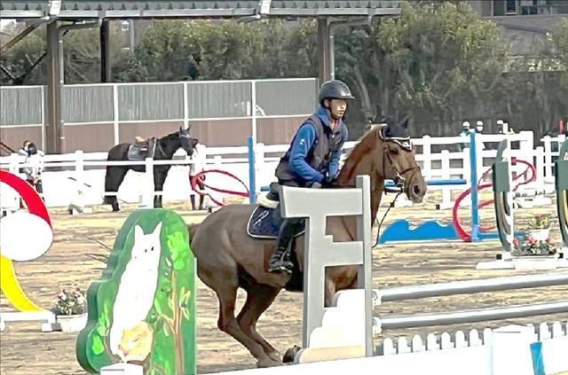 とこわか馬術競技大会のワンシーン