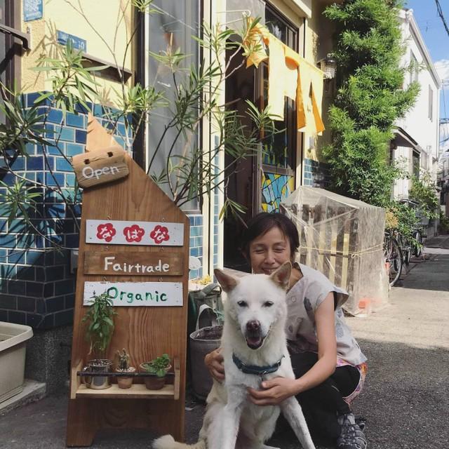 長年、看板犬としてお客さんをお出迎えしてきました（提供：金岩日佐美さん）