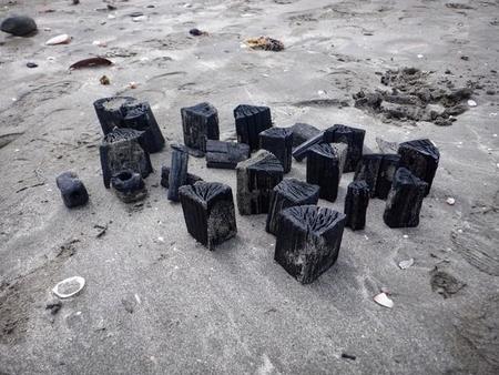 海岸に残されたバーベキューの炭をアップで見る（かながわ海岸美化財団提供）