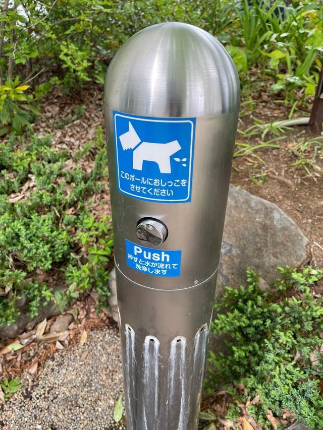 代官山T-SITEに設けられた水洗おしっこポール（提供画像）