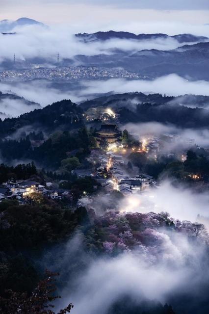 「息を呑むほど美しい」春の吉野山で納得の大雲海撮った！　7回通ってついに…撮影者に聞いた