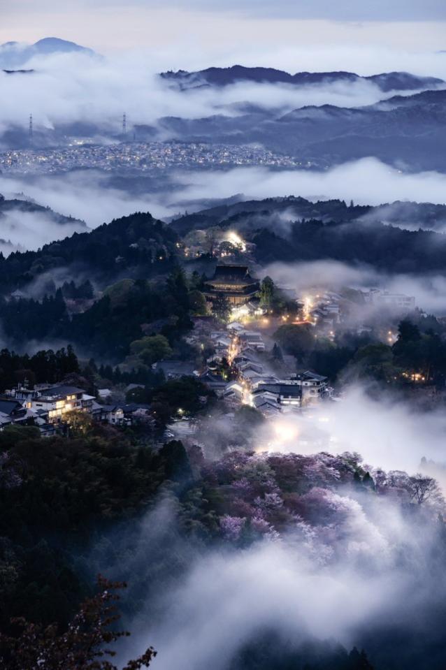 桜と雲海のコラボ。幻想的な風景に心を奪われる=Hiroaki Sekioka | 関岡 大晃さん（@hirography_321）提供