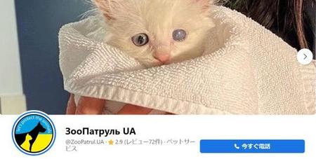 「動物パトロール」Facebookページ（https://www.facebook.com/ZooPatrul.UA）