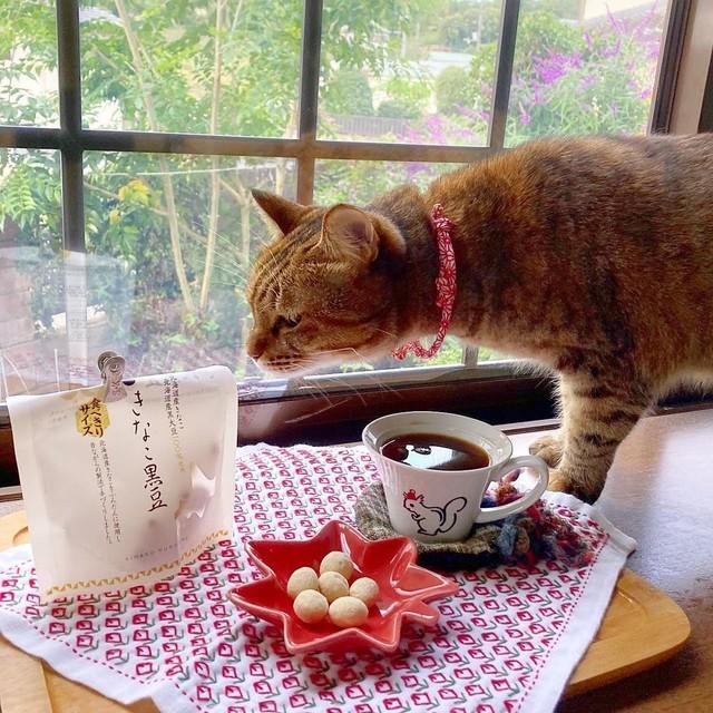 毎日、中家さんの朝ご飯撮影のモデルをしてくれる