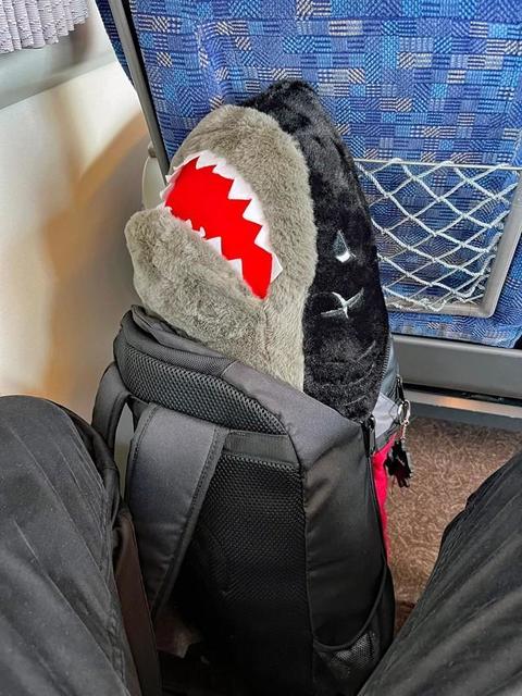 「旅先でクレーンゲームをしてはいけない」大人のリュックからはみ出した“サメ”に修学旅行生から熱い視線