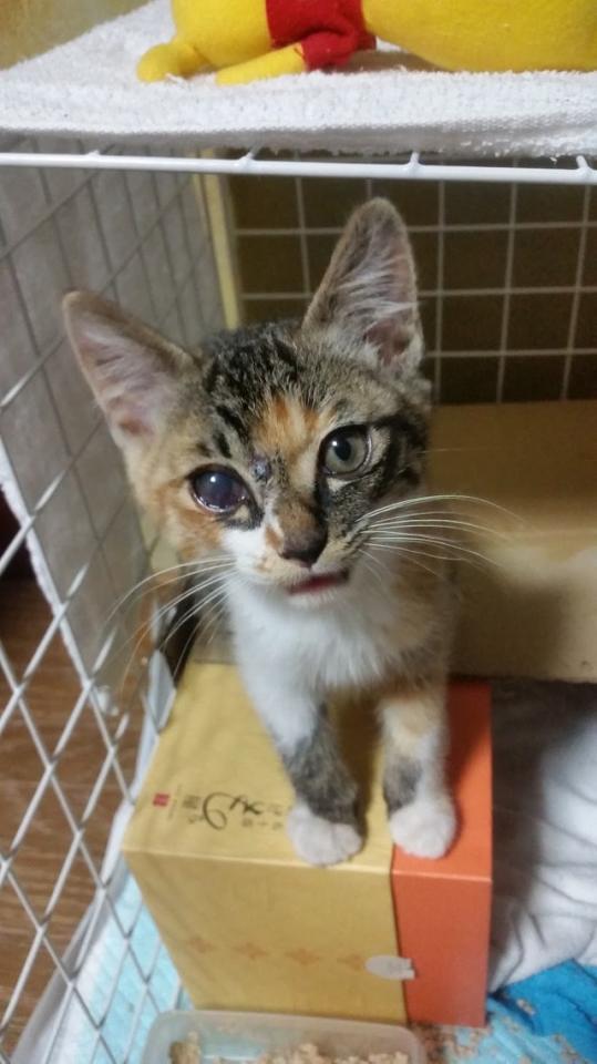 あどけない表情が可愛い