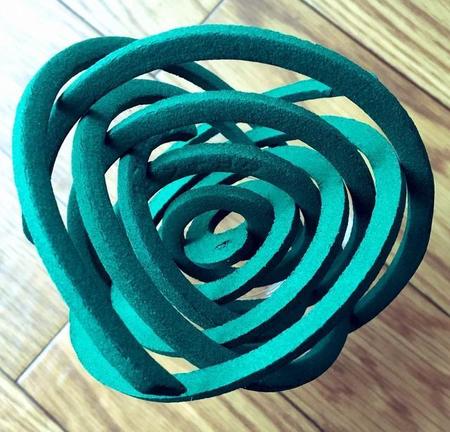 星々の軌跡を目で辿るよう…！！天球の模型のような姿に　画像提供／神谷聖さん