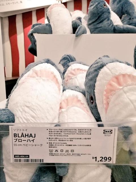 小サメさん久しぶり！ IKEAに「ブローハイ55cmベビーシャーク」が水揚げ　2年半ぶり再販が話題
