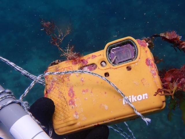 「訳が分からん」海中で紛失したカメラを1年越しに発見→奇跡の連続にSNS驚愕「Nikonクオリティ恐ろしい…！」