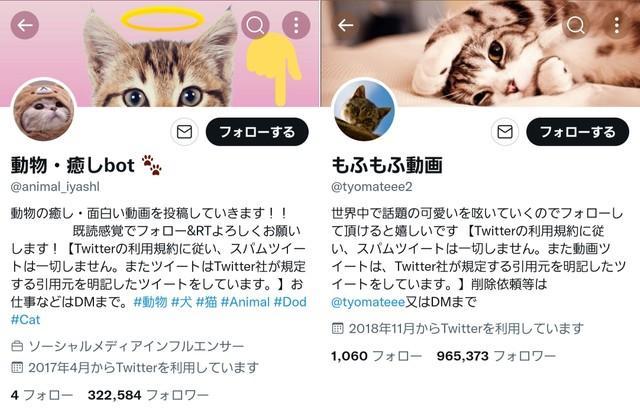 「動物・癒しbot」（https://twitter.com/animal_iyashl）「もふもふ動画」（https://twitter.com/tyomateee2）のように飼い主に無断でペットの画像や映像を転載し利益を得ようとする悪質アカウントは数多い