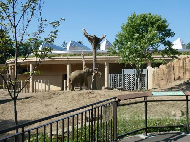 野生動物ふれあい禁止、擬人化NGうたう「動物園条例」　札幌市円山動物園が目指す「動物福祉」とは